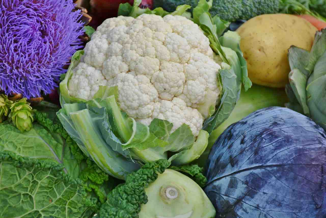 cauliflower, red cabbage, savoy
