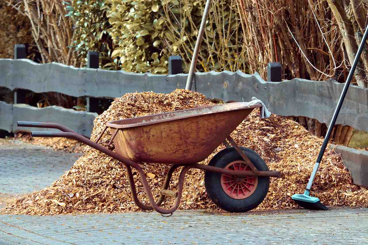 gardening, wheelbarrows, broom